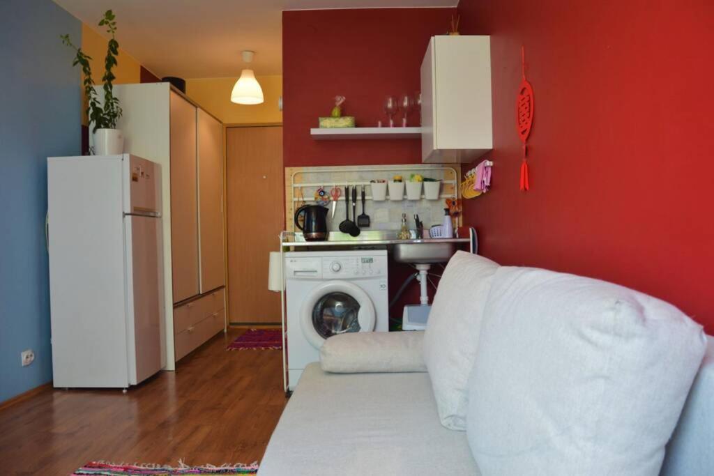 Slucko Central Studio Apartment near River Vilna Exterior foto