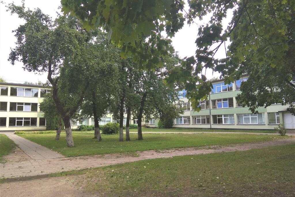 Slucko Central Studio Apartment near River Vilna Exterior foto