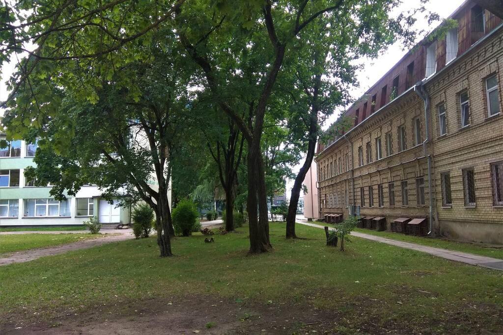 Slucko Central Studio Apartment near River Vilna Exterior foto